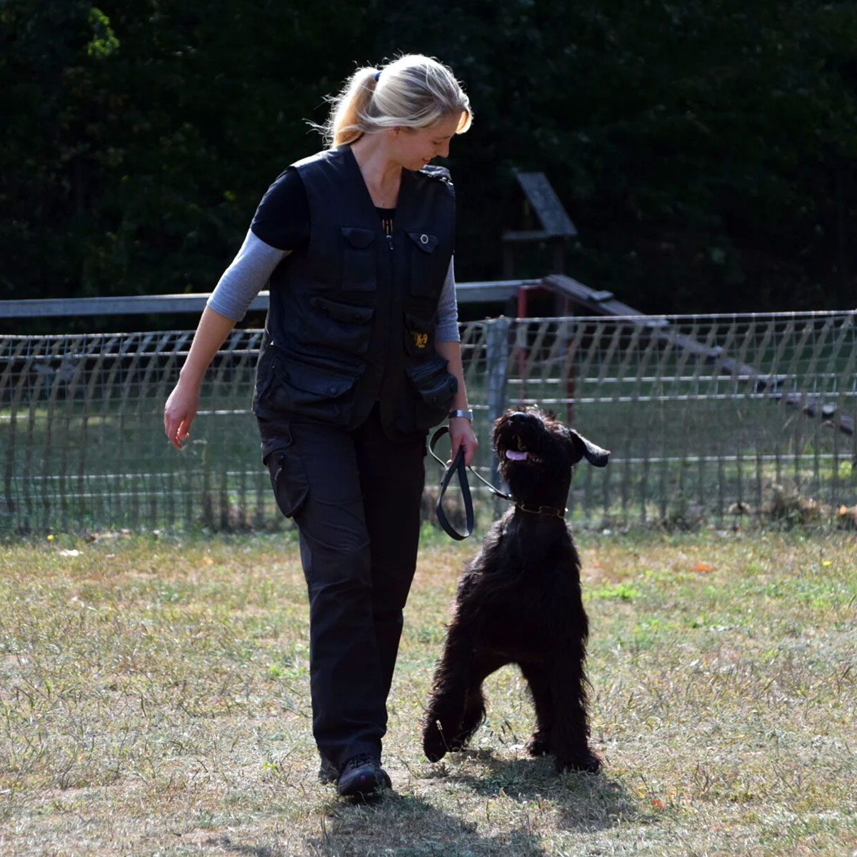 chance-of-life-partner-varadogs-1
